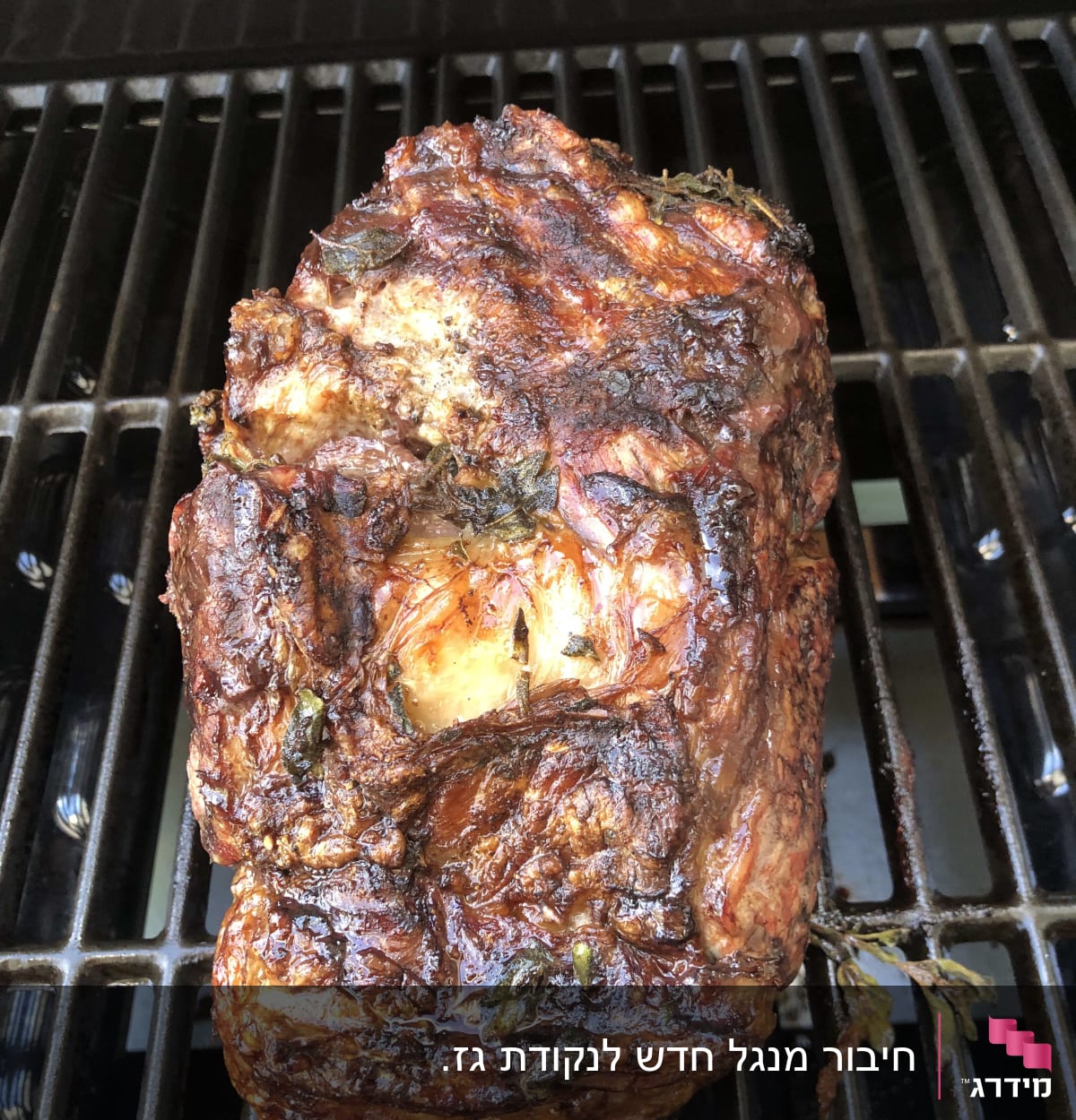 תוצאה של מנגל פעיל שמעודדת לנתח אנטריקט